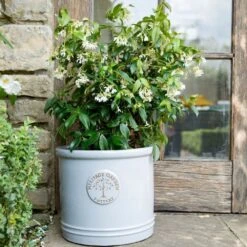 Woodlodge 38cm White / Cream Glazed Heritage Cylinder Pot 8 Woodlodge 38cm White / Cream Glazed Heritage Cylinder Pot -PlantCraft Sales Shop 5021346424430