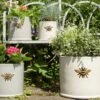 Woodlodge 29cm Wisteria Bee Cylinder Planter -PlantCraft Sales Shop 5021346427110 fa3cfc22 6889 45d8 b39f c047370bf042