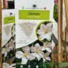 Clematis 'Prince George' Climber 3Ltr Pot -PlantCraft Sales Shop 5025338009568