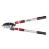 Darlac Telescopic Ratchet Lopper -PlantCraft Sales Shop 5038210003479