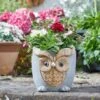 Flamboya 23cmWoodstone Owl Planter -PlantCraft Sales Shop 5050642048118