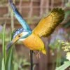 La Hacienda Inquisitive Kingfisher Stake -PlantCraft Sales Shop 5055025558710