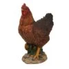 Vivid Arts 28cm Summer Hen - XRL-CHKN-D -PlantCraft Sales Shop 5055195014733