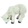 Vivid Arts 31cm Standing Lamb - XRL-LAMB-D 1 Vivid Arts 31cm Standing Lamb - XRL-LAMB-D -PlantCraft Sales Shop 5055195015518