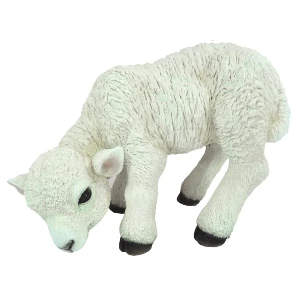 Vivid Arts 31cm Standing Lamb - XRL-LAMB-D 3 Vivid Arts 31cm Standing Lamb - XRL-LAMB-D