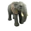 Vivid Arts 55cm Elephant Resin - XRL-ELPH-A -PlantCraft Sales Shop 5055195016249