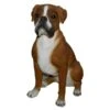 Vivid Arts 47cm Boxer Dog - XRL-BOXR-A -PlantCraft Sales Shop 5055195017628