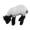 Vivid Arts 31cm Black / White Standing Lamb - XRL-BLLB-D -PlantCraft Sales Shop 5055195017697