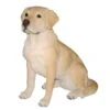 Vivid Arts 54cm Golden Labrador Dog - XRL-LABR-A -PlantCraft Sales Shop 5055195019295