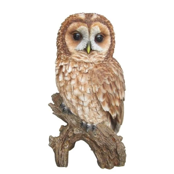Vivid Arts 31.5cm Tawny Owl - XRL-TWNY-B 3 Vivid Arts 31.5cm Tawny Owl - XRL-TWNY-B