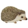 Vivid Arts 13cm Pet Pals Pygmy Hedgehog - PP-PHED-F -PlantCraft Sales Shop 5055195019943