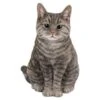 Vivid Arts 30cm Tabby Sitting Cat - XRL-SC33-B -PlantCraft Sales Shop 5055195020222