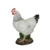 Vivid Arts 27cm Black & White Summer Hen - XRL-CH47-D 1 Vivid Arts 27cm Black & White Summer Hen - XRL-CH47-D -PlantCraft Sales Shop 5055195020482