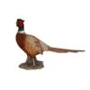Vivid Arts 52cm Pheasant - XRL-NT04 2 Vivid Arts 52cm Pheasant - XRL-NT04 -PlantCraft Sales Shop 5055195020789 7ad3e4d2 7c33 4dad b878 58606602649f
