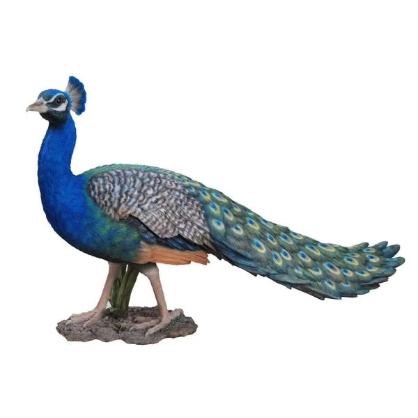 Vivid Arts 85cm Peacock - XRL-PCOK-A 3 Vivid Arts 85cm Peacock - XRL-PCOK-A