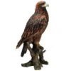 Vivid Arts 40cm Golden Eagle - XRL-GDEG-B 1 Vivid Arts 40cm Golden Eagle - XRL-GDEG-B -PlantCraft Sales Shop 5055195024879