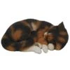 Vivid Arts 27cm Sleeping Tortoiseshell Cat - XRL-ZC32-B 1 Vivid Arts 27cm Sleeping Tortoiseshell Cat - XRL-ZC32-B -PlantCraft Sales Shop 5055195025036