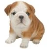 Vivid Arts 19cm Bulldog Puppy Pet Pals - PP-BDOG-F 2 Vivid Arts 19cm Bulldog Puppy Pet Pals - PP-BDOG-F -PlantCraft Sales Shop 5055195025319