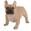 Vivid Arts 50cm Gold French Bulldog - XRL-FRBD-A -PlantCraft Sales Shop 5055195025616
