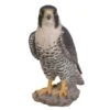 Vivid Arts 25cm Peregrine Falcon - XRL-PFAL-B 2 Vivid Arts 25cm Peregrine Falcon - XRL-PFAL-B -PlantCraft Sales Shop 5055195025807