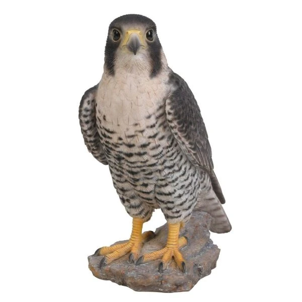 Vivid Arts 25cm Peregrine Falcon - XRL-PFAL-B 3 Vivid Arts 25cm Peregrine Falcon - XRL-PFAL-B