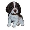 Vivid Arts 16cm Pet Pals Springer Spaniel - PP-SPSP-F -PlantCraft Sales Shop 5055195027306