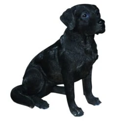 Vivid Arts 36cm Black Labrador - XRL-BLAB-B