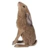 Vivid Arts 35cm Moon Gazing Hare - XRL-HR01-A -PlantCraft Sales Shop 5055195036582