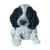 Vivid Arts Black & White Cocker Spaniel Puppy - PP-CKB -PlantCraft Sales Shop 5055195036759