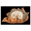 Vivid Arts Baby Hedgehog Sleeping On Leaf XRL-HH09-F -PlantCraft Sales Shop 5055195037596