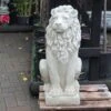 The Stone Studio Lion Looking Right 2 The Stone Studio Lion Looking Right -PlantCraft Sales Shop 5060044990106
