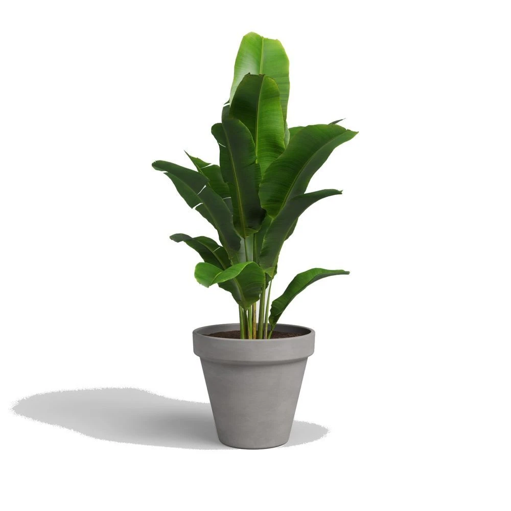 Artevasi 29cm Vulcano Ceramic Amalia Pot 4 Artevasi 29cm Vulcano Ceramic Amalia Pot - Image 2