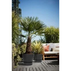 Elho 25cm Living Black Greenville Round Planter -PlantCraft Sales Shop 8711904332334 5