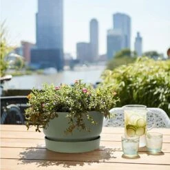 Elho 33cm Leaf Green Greenville Bowl Planter -PlantCraft Sales Shop 8711904332464 4