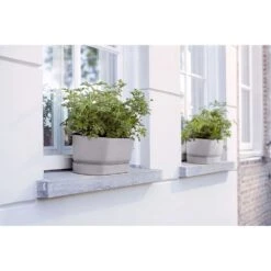 Elho 50cm Living Concrete Greenvillle Long Trough Planter 10 Elho 50cm Living Concrete Greenvillle Long Trough Planter -PlantCraft Sales Shop 8711904358440 4