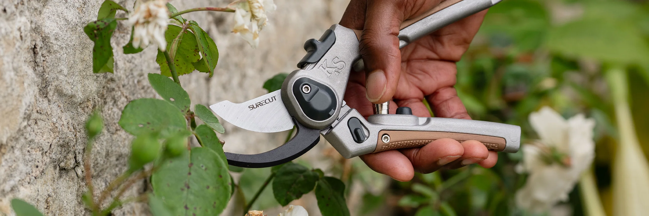 Front Page -PlantCraft Sales Shop banner588